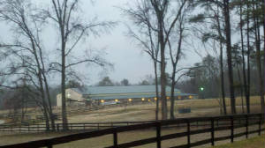 2012-01-21_07-48-44_48.jpg