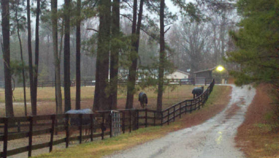 2012-01-21_07-48-44_48.jpg