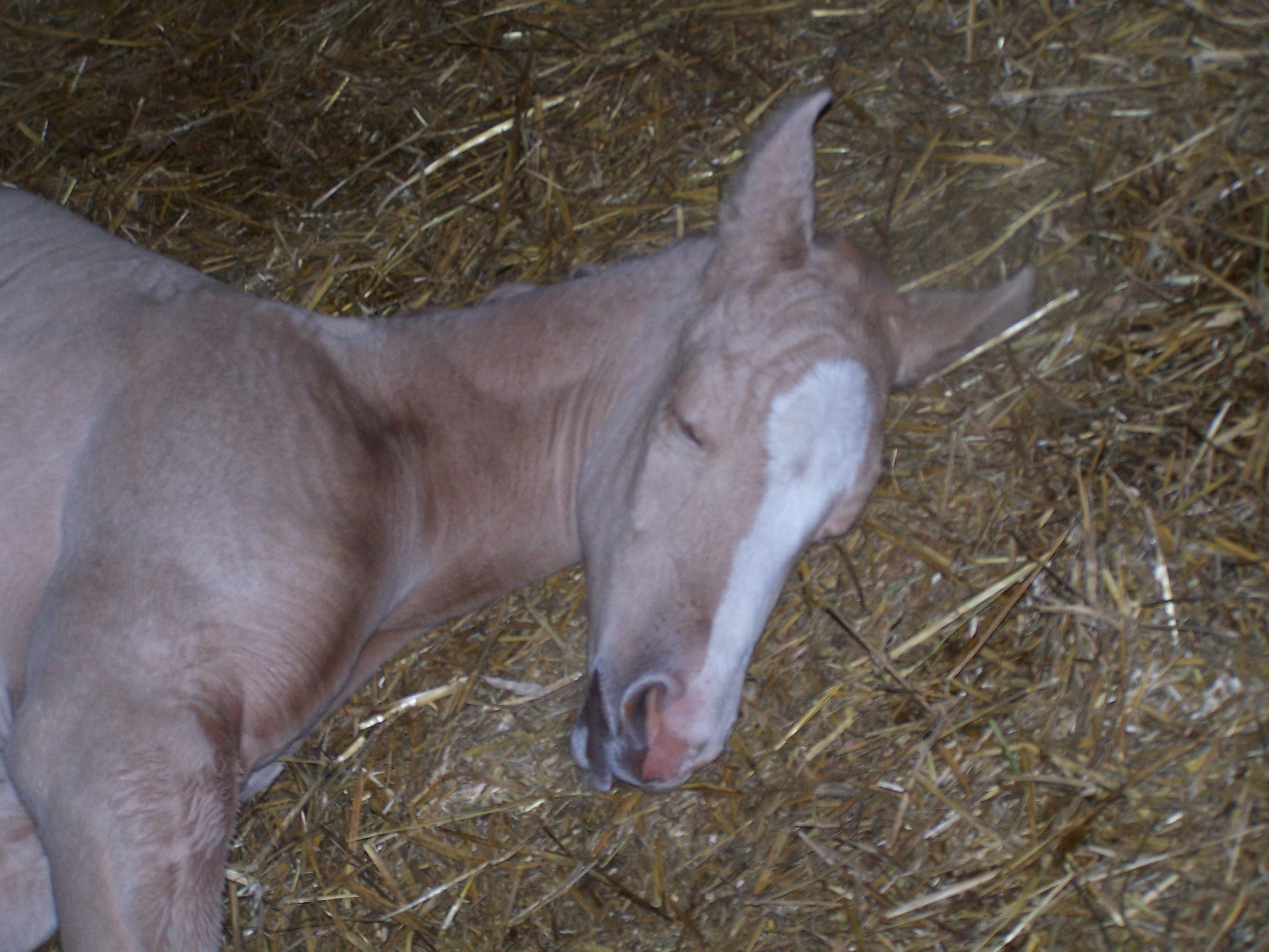 2007baby1.jpg