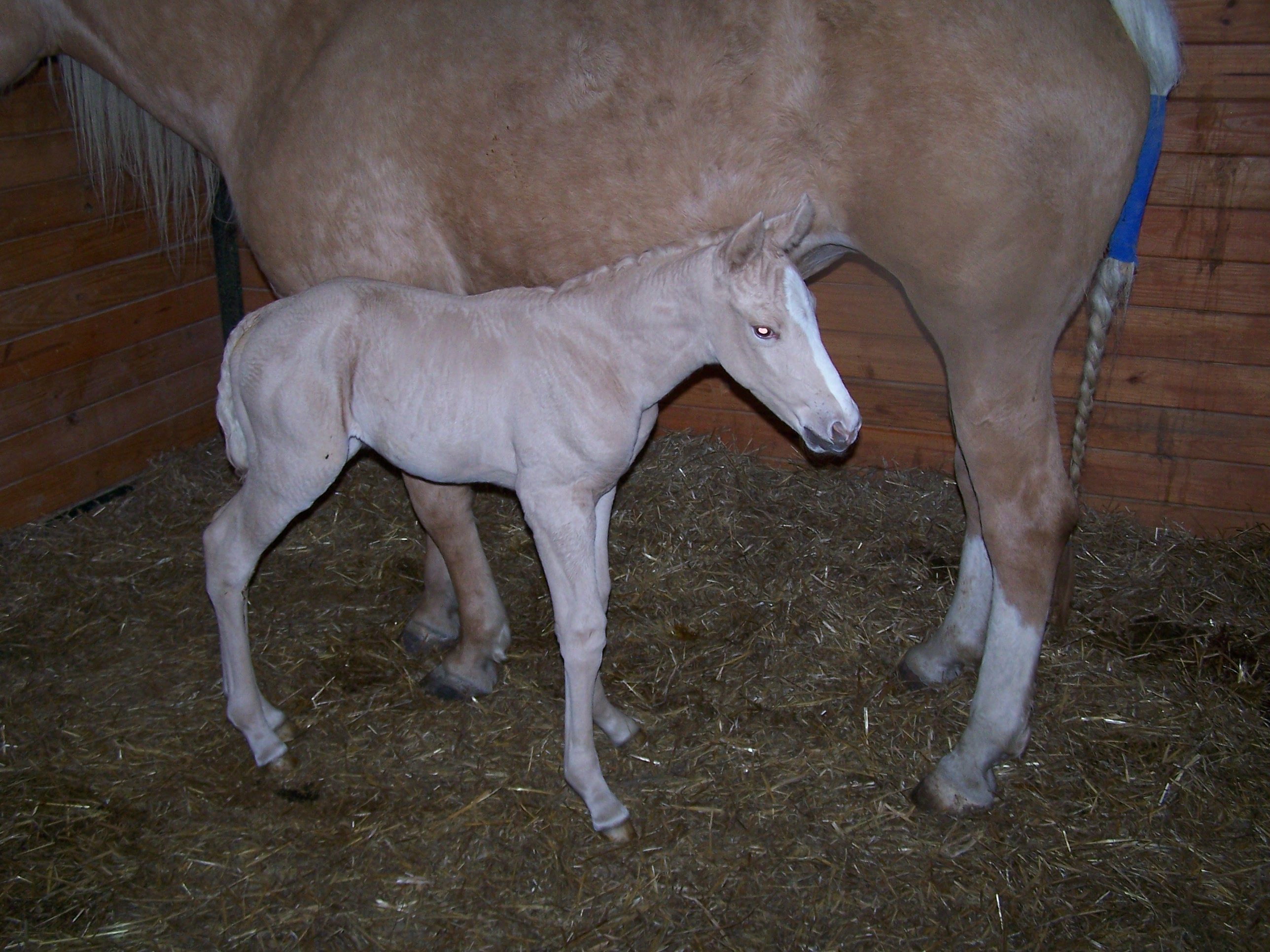2007baby2.jpg