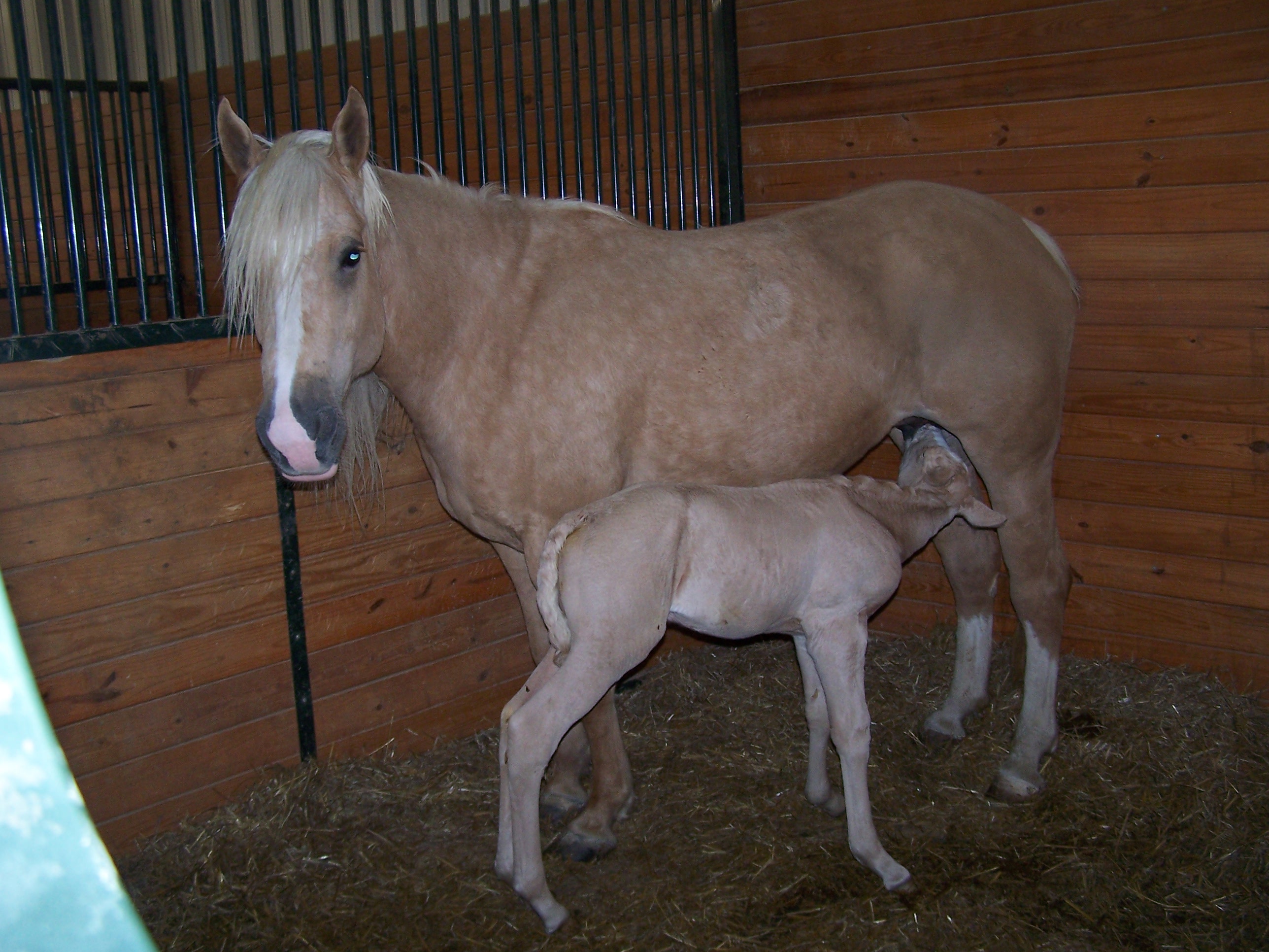 2007baby3.jpg