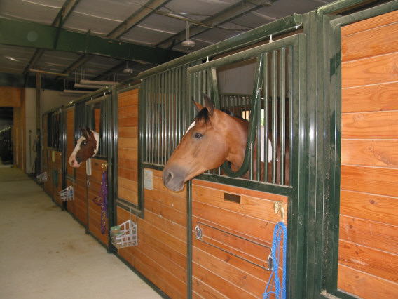 stalls_img.jpg